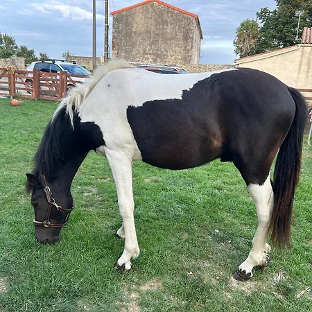 Hébergement de vacances La Maison Du Bonheur *