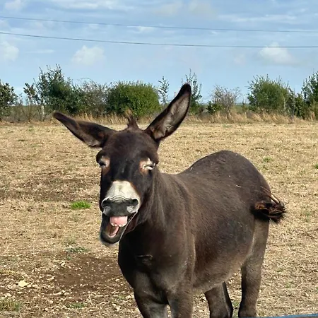 Vakantiehuis La Maison Du Bonheur Marans (Charente-Maritime)