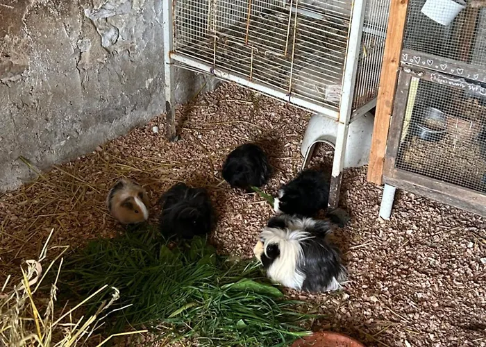 Hébergement de vacances La Maison Du Bonheur Marans (Charente-Maritime)