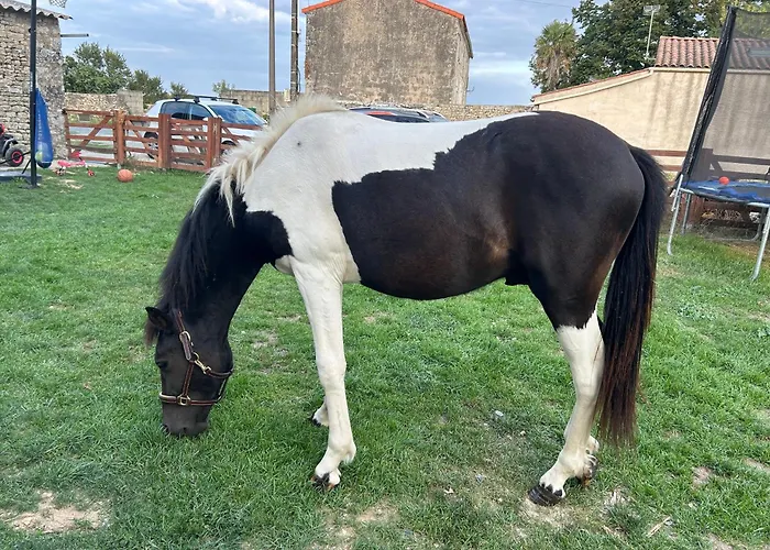 Hébergement de vacances La Maison Du Bonheur *